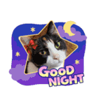 AmamiMana(あまーみー)LINEスタンプ（個別スタンプ：7）