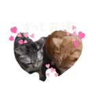AmamiMana(あまーみー)LINEスタンプ（個別スタンプ：8）