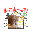 AmamiMana(あまーみー)LINEスタンプ（個別スタンプ：9）