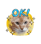 AmamiMana(あまーみー)LINEスタンプ（個別スタンプ：10）