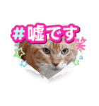 AmamiMana(あまーみー)LINEスタンプ（個別スタンプ：11）