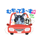 AmamiMana(あまーみー)LINEスタンプ（個別スタンプ：15）