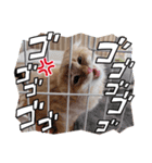 吾輩はねこくん！③（個別スタンプ：4）