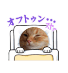 吾輩はねこくん！③（個別スタンプ：16）