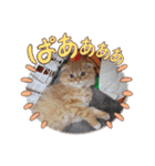 吾輩はねこくん！③（個別スタンプ：19）