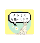 親子動物スタンプ（個別スタンプ：10）