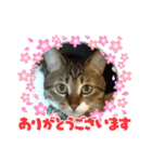 宮﨑ルー君（個別スタンプ：1）