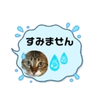宮﨑ルー君（個別スタンプ：6）