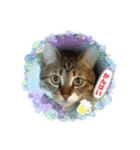宮﨑ルー君（個別スタンプ：8）