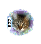 宮﨑ルー君（個別スタンプ：12）