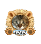 宮﨑ルー君（個別スタンプ：13）
