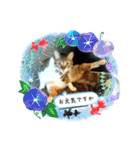 宮﨑ルー君（個別スタンプ：14）