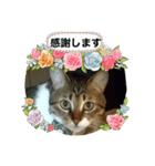 宮﨑ルー君（個別スタンプ：15）