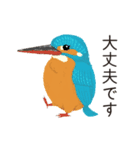 ビオトープの仲間たち（個別スタンプ：12）