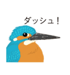 ビオトープの仲間たち（個別スタンプ：13）