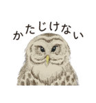 ビオトープの仲間たち（個別スタンプ：15）