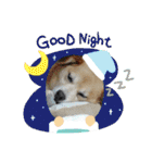たれ耳わんこコロマルくん（個別スタンプ：4）