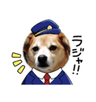 たれ耳わんこコロマルくん（個別スタンプ：8）