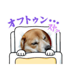 たれ耳わんこコロマルくん（個別スタンプ：9）