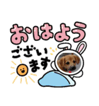 たれ耳わんこコロマルくん（個別スタンプ：14）