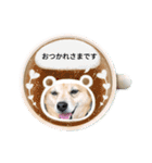 たれ耳わんこコロマルくん（個別スタンプ：15）
