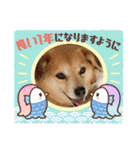 たれ耳わんこコロマルくん（個別スタンプ：18）