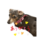 きゅうぷー！！（個別スタンプ：2）