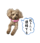 きゅうぷー！！（個別スタンプ：3）