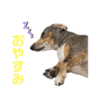 きゅうぷー！！（個別スタンプ：6）
