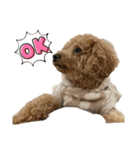 きゅうぷー！！（個別スタンプ：10）