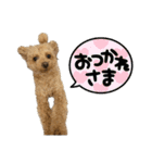 きゅうぷー！！（個別スタンプ：11）