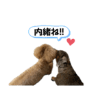 きゅうぷー！！（個別スタンプ：12）