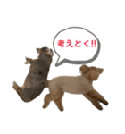 きゅうぷー！！（個別スタンプ：13）
