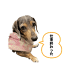 きゅうぷー！！（個別スタンプ：14）