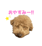 きゅうぷー！！（個別スタンプ：15）