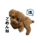 きゅうぷー！！（個別スタンプ：16）