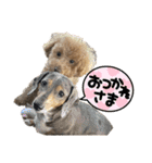 きゅうぷー！！（個別スタンプ：17）