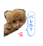 きゅうぷー！！（個別スタンプ：18）