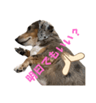 きゅうぷー！！（個別スタンプ：20）