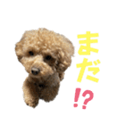 きゅうぷー！！（個別スタンプ：30）