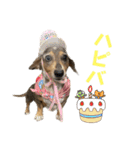 きゅうぷー！！（個別スタンプ：33）