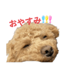 きゅうぷー！！（個別スタンプ：35）