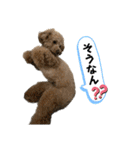 きゅうぷー！！（個別スタンプ：36）