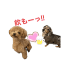 きゅうぷー！！（個別スタンプ：40）