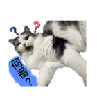 ソイラテ兄弟☺︎（個別スタンプ：1）