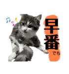 ソイラテ兄弟☺︎（個別スタンプ：2）