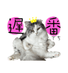 ソイラテ兄弟☺︎（個別スタンプ：3）