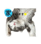 ソイラテ兄弟☺︎（個別スタンプ：4）