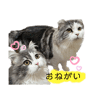 ソイラテ兄弟☺︎（個別スタンプ：7）
