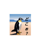 ペンギン(ほぼ)のつぶやき（個別スタンプ：20）